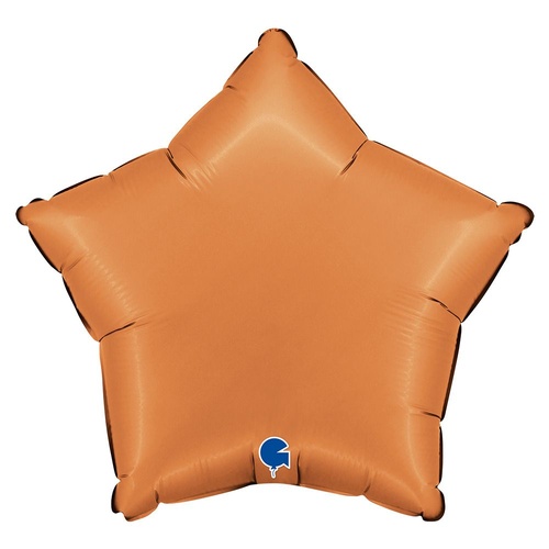 46cm Star Satin Caramel Plain Foil Balloon #30192000SCAP - Each (Pkgd.)