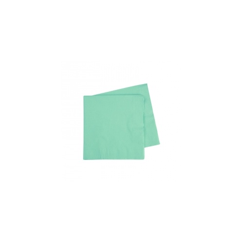 Cocktail Napkin Mint Green 250mm #406070MTP - 20Pk (Pkgd.)