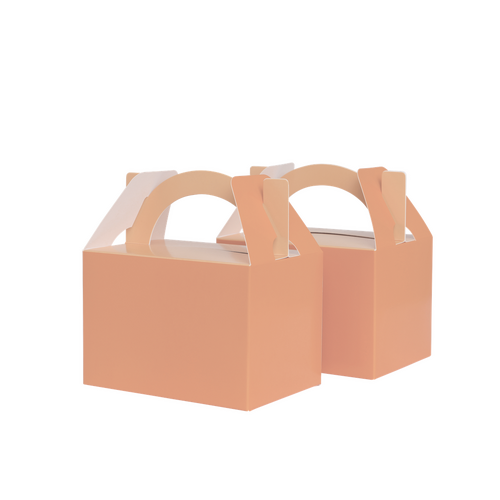 Paper Party Little Lunch Box Peach #6231PHP - 10pk