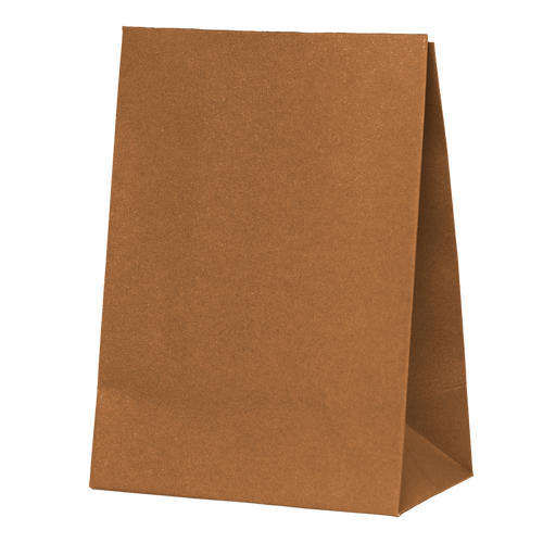 Paper Party Paper Party Bag Acorn #6300ACP - 10pk