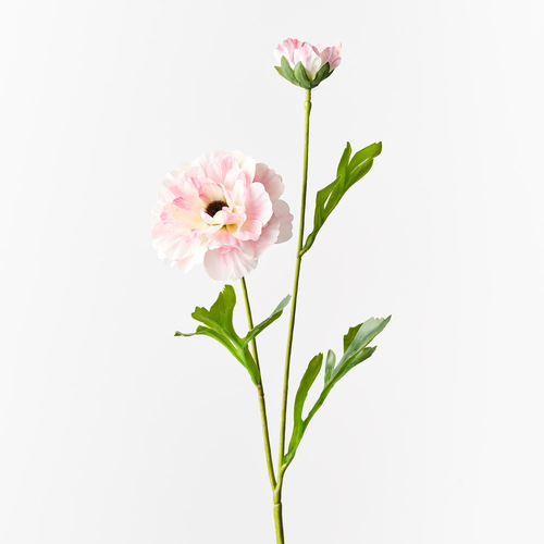 Ranunculus Spray Light Pink 60cml #FI10403LP - Each (Upkgd.)