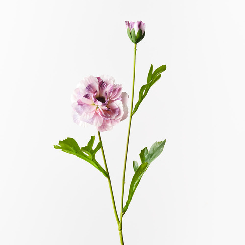 Ranunculus Spray Lavender 60cml #FI10403LV - Each (Upkgd.)