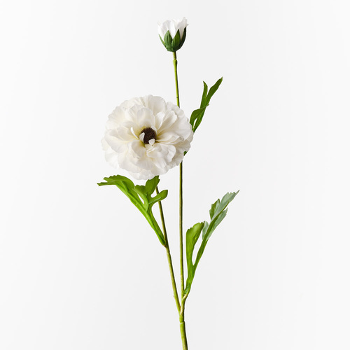 Ranunculus Spray White 60cml #FI10403WH - Each (Upkgd.)