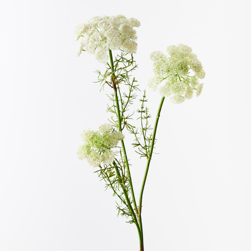 Queen Annes Lace Spray White 73cml #FI10410WH - Each (Upkgd.) TEMPORARILY UNAVAILABLE