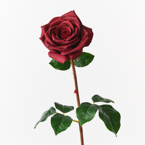 Fresh Touch Rose Olivia Burgundy 72cml #FI10808BU - Each