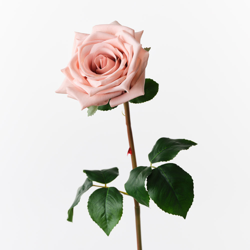 Fresh Touch Rose Olivia Dusty Pink 72cml #FI10808DP - Each