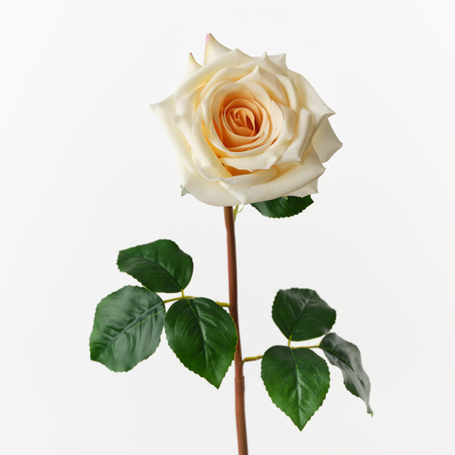 Fresh Touch Rose Olivia Light Yellow 72cml #FI10808LY - Each