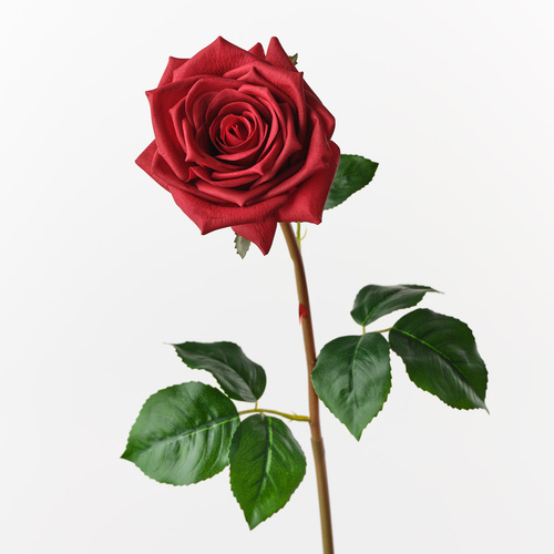 Fresh Touch Rose Olivia Red 72cml #FI10808RD - Each