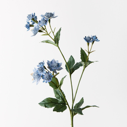 Astrantia Spray Dark Blue 49cml #FI6834DB - Each TEMPORARILY UNAVAILABLE