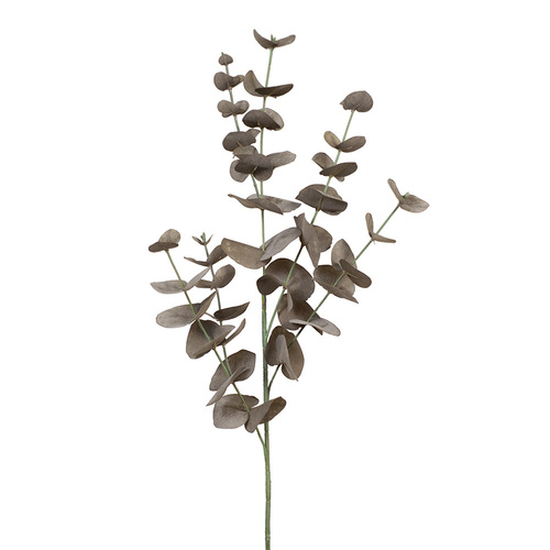 Eucalyptus Silver Dollar Coffee 86cml #FI6982CF - Each