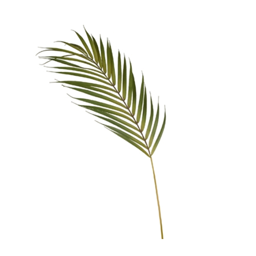 Palm Phoenix Leaf Green 76cml #FI7051GR - Each (Upkgd.)