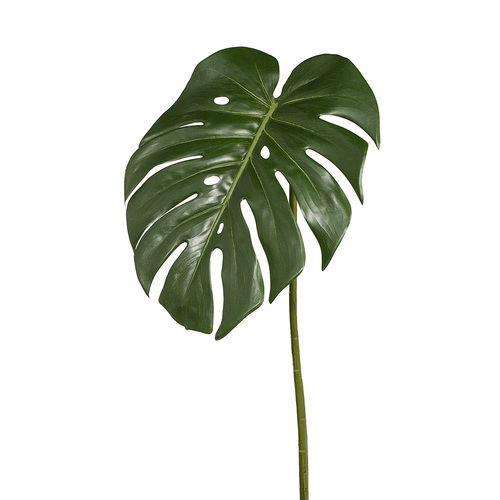 Monstera Leaf Green 80cml #FI7915GR - Each (Upkgd.)