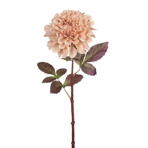 Dahlia Dusty Pink 75cml #FI8063DP - Each 