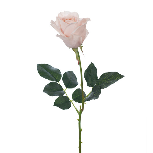 Fresh Touch Rose Yvie Soft Pink 65cml #FI8321SP - Each