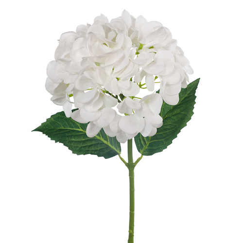 Hydrangea Winter White Fresh Touch 47cml #FI8329WW - Each 