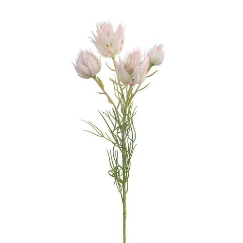 Blushing Bride Spray Cream Pink 53cml #FI8387CP - Each (Upkgd.)