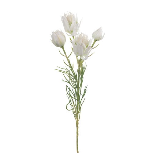 Blushing Bride Spray White 53cml #FI8387WH - Each (Upkgd.) 