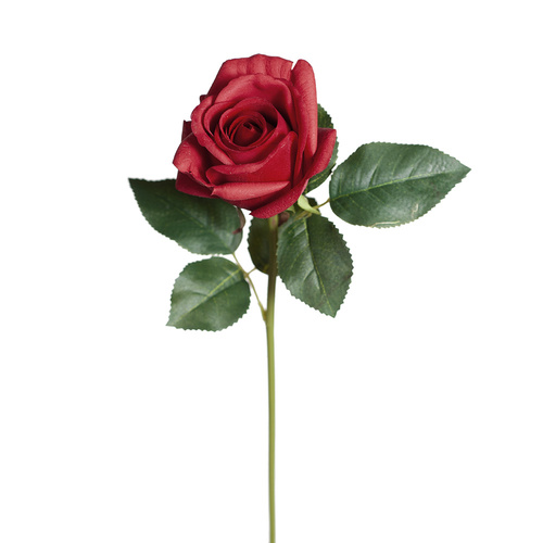 Fresh Touch Rosebud Open Bella Red 38cml #FI8444RD - Each (Upkgd.) 