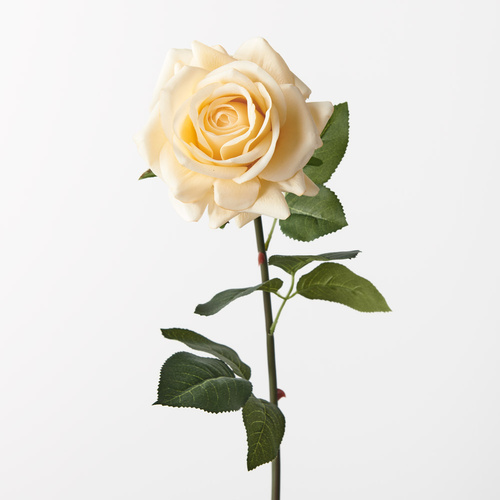 Fresh Touch Rose Hannah Butter 75cm #FI8473BT- Each