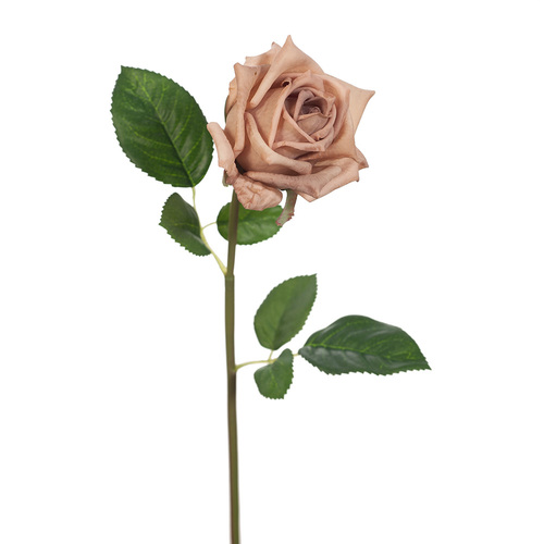 Fresh Touch Rose Hannah Coffee 75cml #FI8473CF - Each