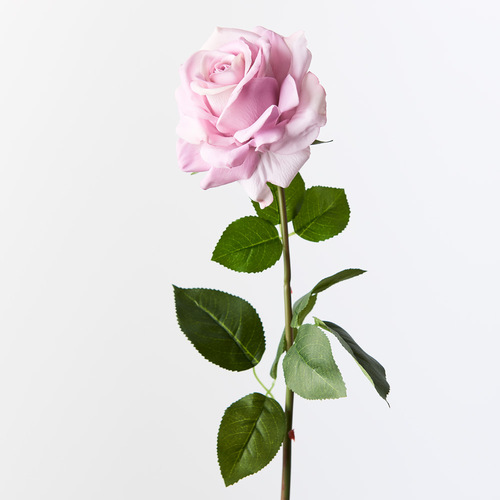 Fresh Touch Rose Hannah Lavender 75cml #FI8473LV - Each