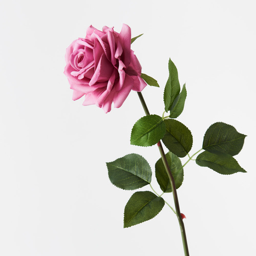 Fresh Touch Rose Hannah Mauve 75cml #FI8473MV - Each