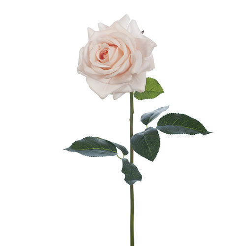 Fresh Touch Rose Hannah Soft Pink 75cml #FI8473SP - Each 