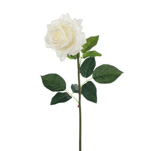 Fresh Touch Rose Hannah White 75cm #FI8473WH - Each 
