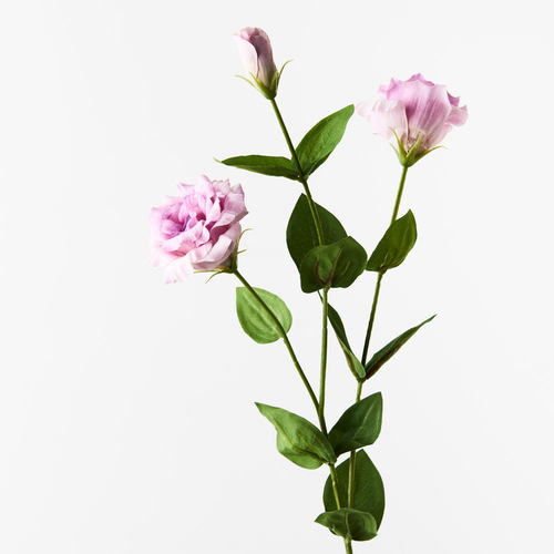 Lisianthus Lavender 72cml #FI8905LV - Each (Upkgd.) 