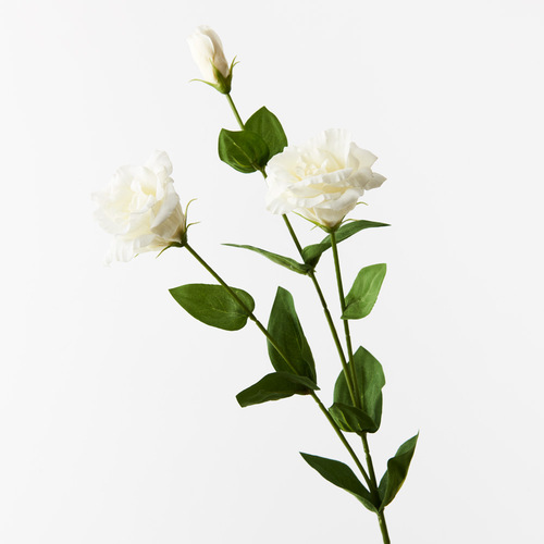 Lisianthus White 72cml #FI8905WH - Each (Upkgd.) TEMPORARILY UNAVAILABLE