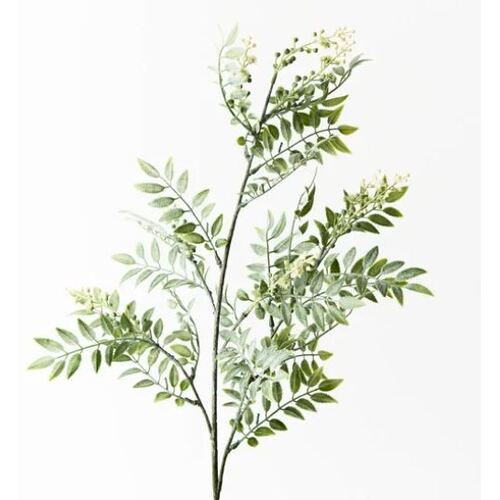 Wattle Leaf Spray Cream 74cm #FI9154CR - Each (Unpkgd) TEMPORARILY UNAVAILABLE