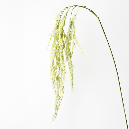 Amaranthus Spray Cream Green 172cml #FI9405CG - Each (Unpkgd)