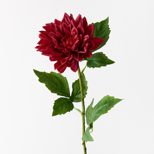 Dahlia Dark Red 54cml #FI9422DR - Each