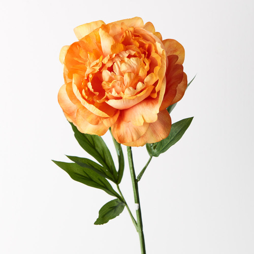 Peony Orange 63cml #FI9478OR - Each