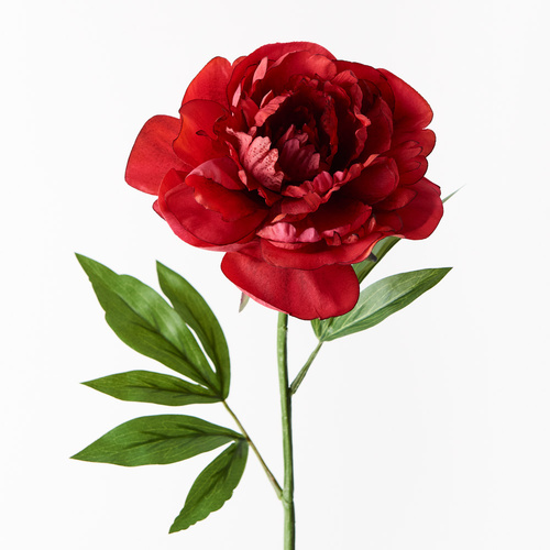 Peony Red 63cml #FI9478RD - Each