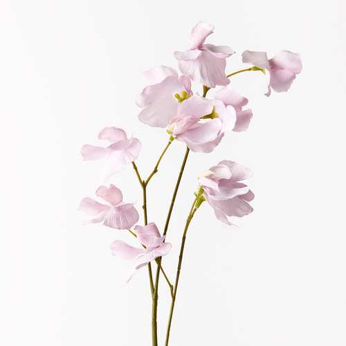 Sweet Pea Spray Lavender 60cml #FI9567LV - Each