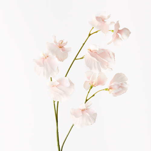 Sweet Pea Spray Soft Pink 60cml #FI9567SP - Each