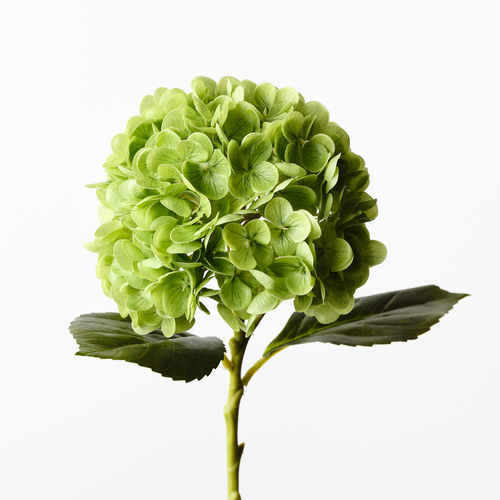 Hydrangea Green Fresh Touch 49cml #FI9665GR - Each 