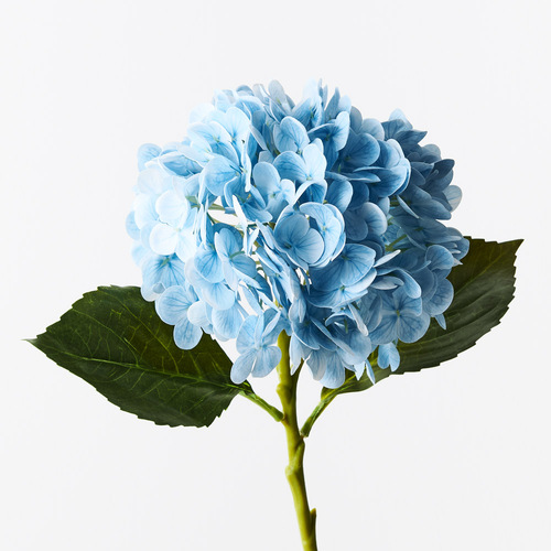 Hydrangea Light Blue Fresh Touch 49cml #FI9665LB - Each