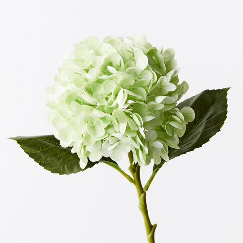 Hydrangea Light Green Fresh Touch 49cml #FI9665LG - Each TEMPORARILY UNAVAILABLE