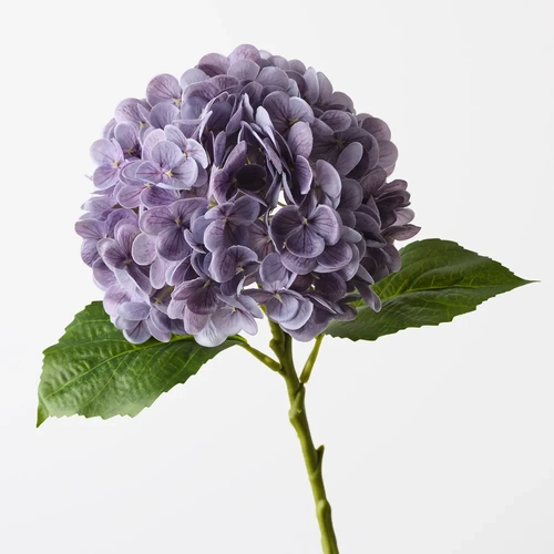 Hydrangea Lavender Fresh Touch 49cml #FI9665LV - Each