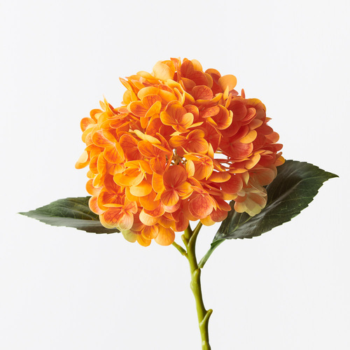 Hydrangea Orange Fresh Touch 49cml #FI9665OR - Each