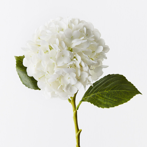 Hydrangea Winter White Fresh Touch 49cml #FI9665WW - Each 