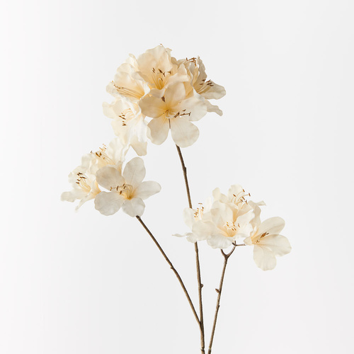 Azalea Spray Cream 86cml FI9675CR - Each (Unpkgd)