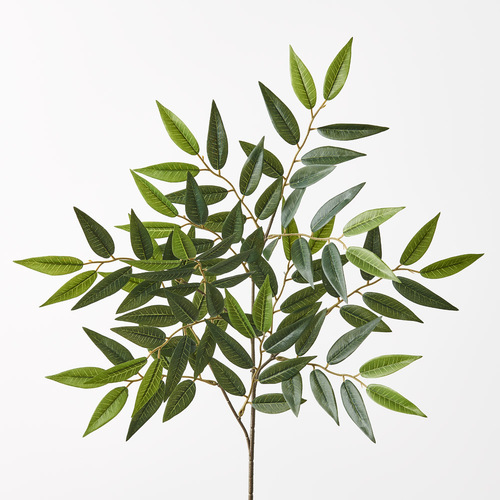 Ruscus Leaf Spray Green 67cml #FI9814GR - Each TEMPORARILY UNAVAILABLE