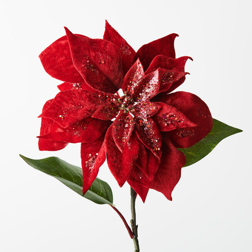 Christmas Poinsettia Stem Velvet Red 71cml #FI9852RD - Each