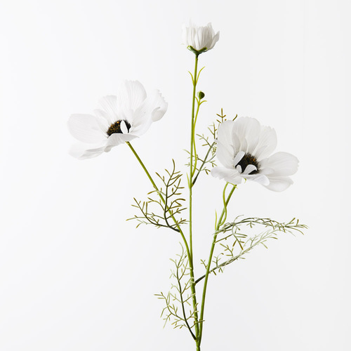 Coreopsis Spray White 76cml #FI9951WH - Each TEMPORARILY UNAVAILABLE