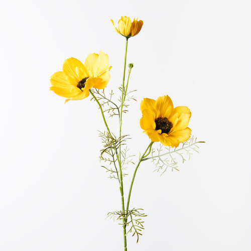 Coreopsis Spray Yellow 76cml #FI9951YE - Each