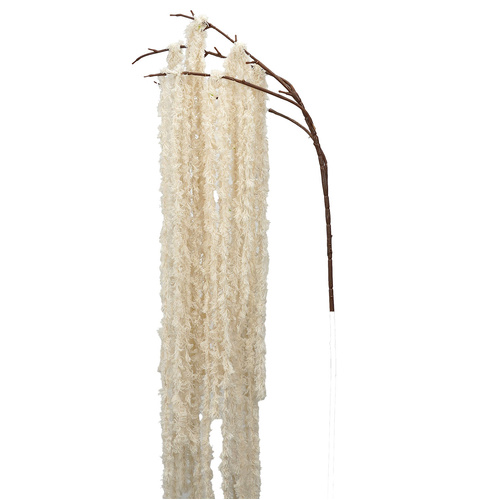 Cream Amaranthus Spray 68cm -#FL-AMARAN-CRM
