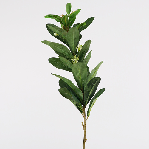 Green Bluefield Stem - #FL-BLUEF-GRN-STEM